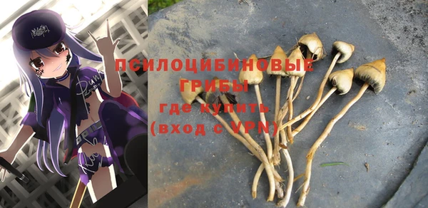 прущие крисы Горнозаводск