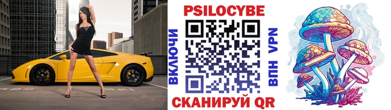 где продают   Каспийск  Галлюциногенные грибы Cubensis 